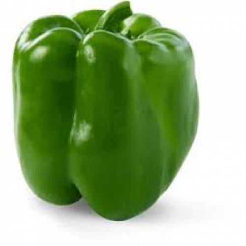 Green Bell Pepper - 1