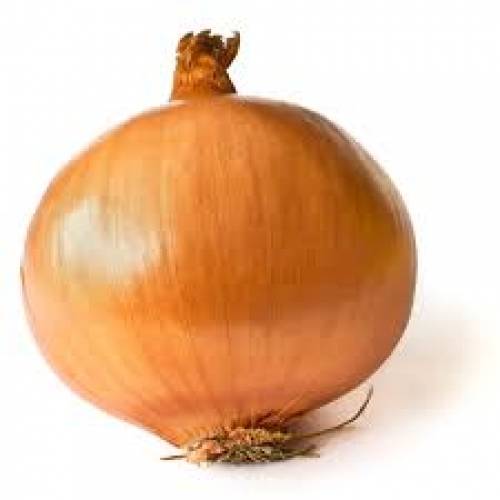 Onion - 1