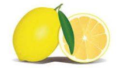 1 Lemon